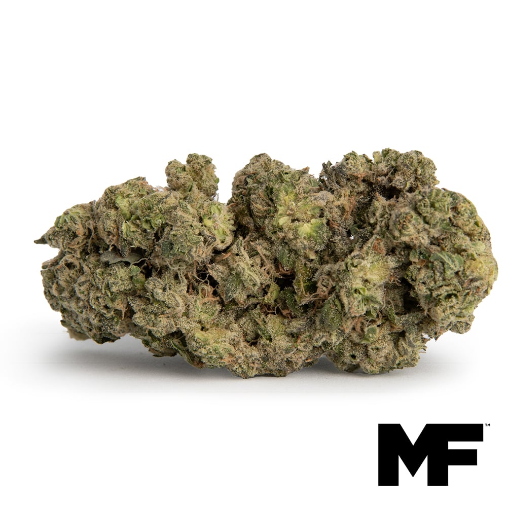 Modern Flower – Thunder Punch