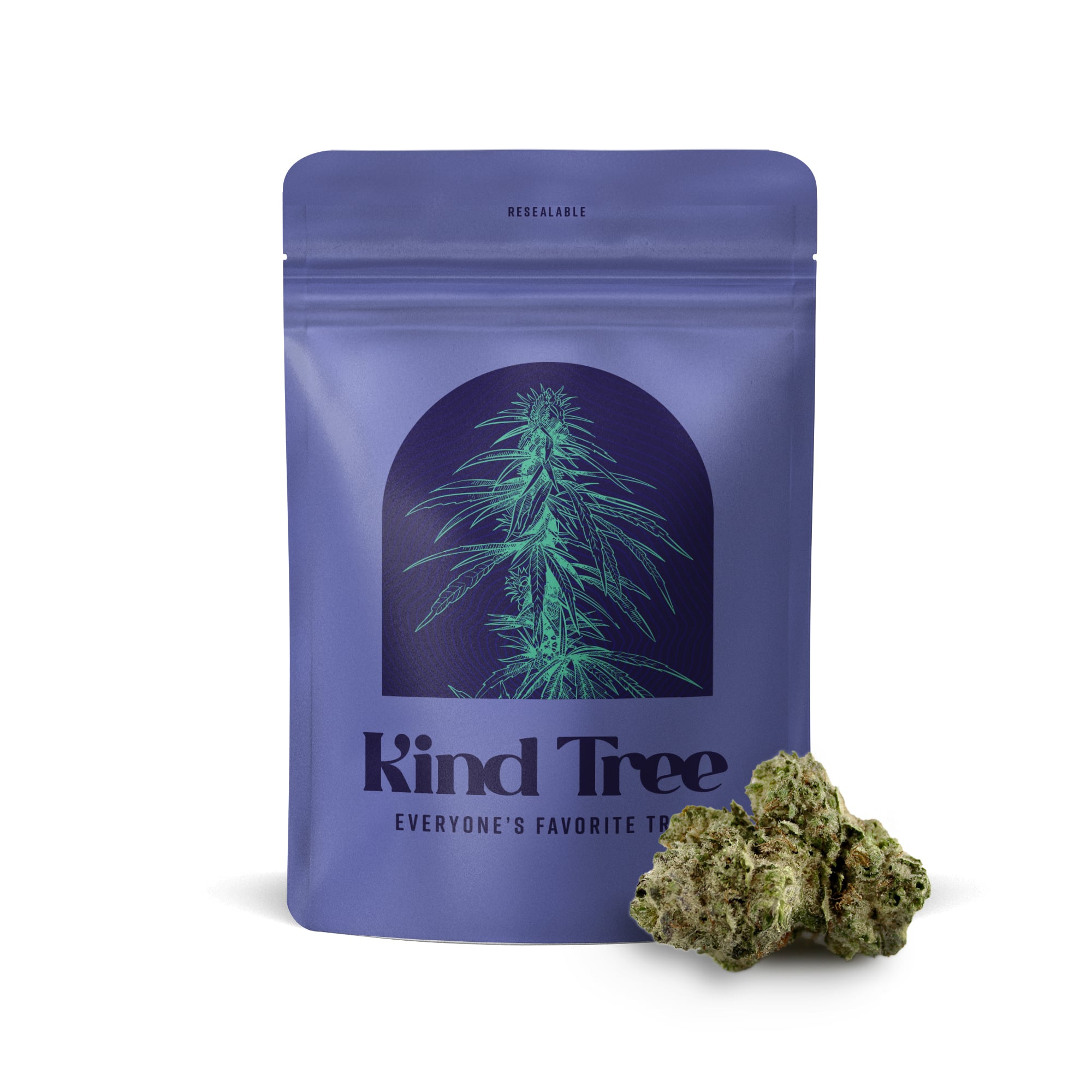 Kind Tree – Loud CKE