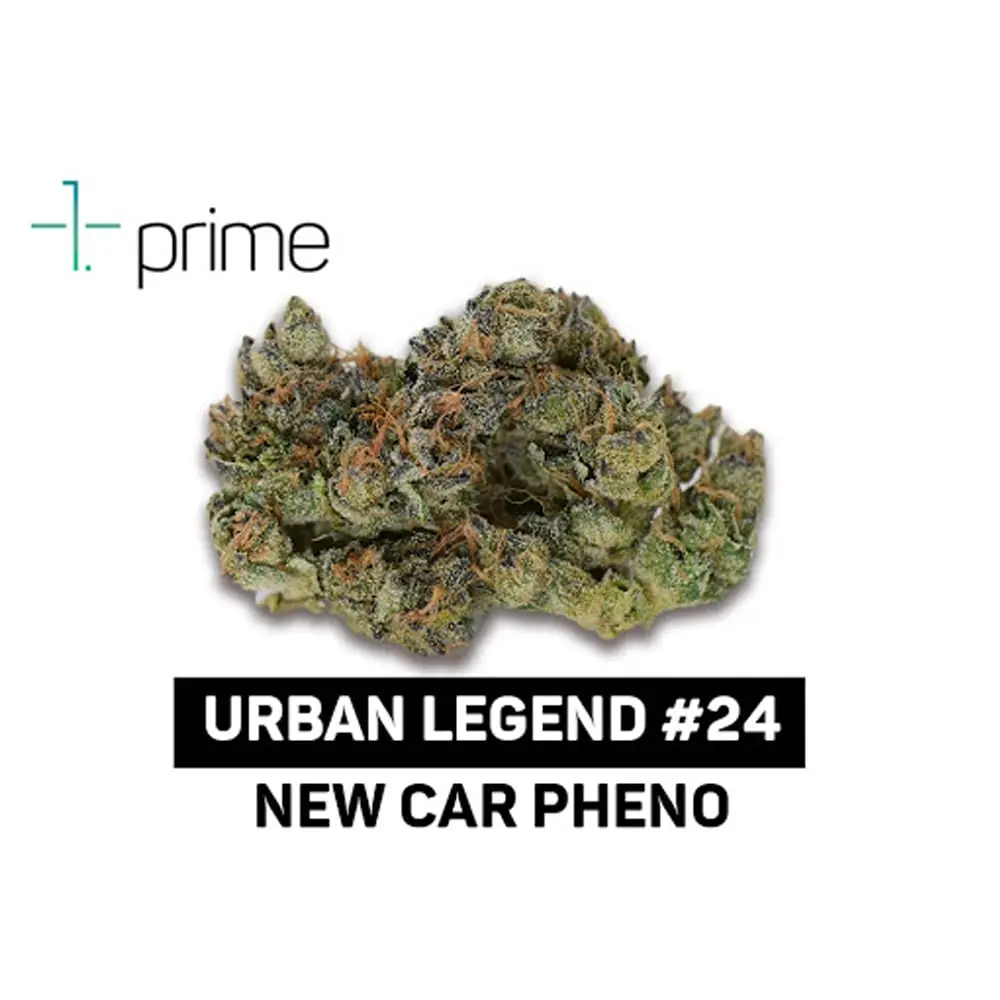 Prime Wellness – Urban Legend #24