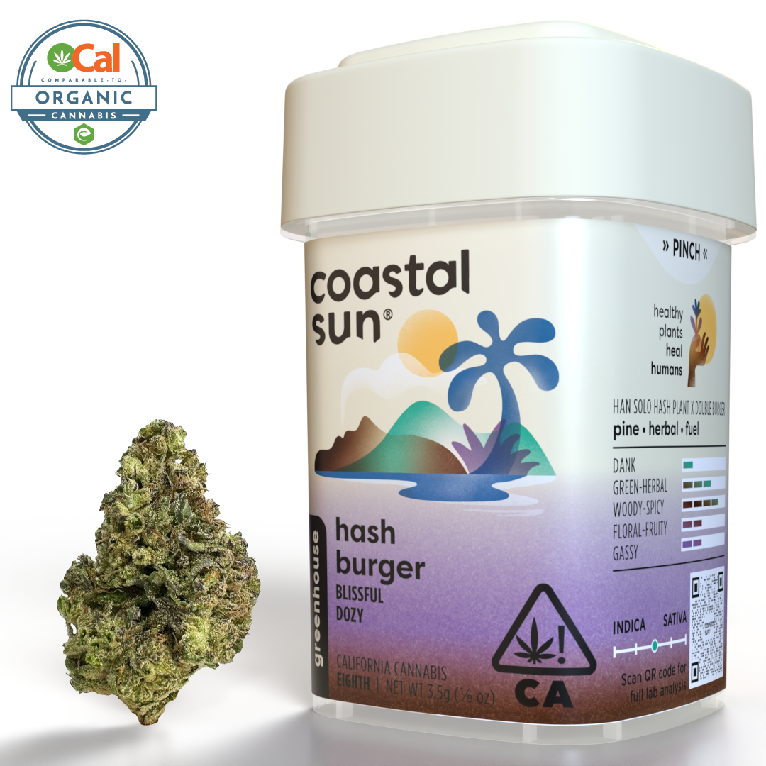 Coastal Sun – Hash Burger
