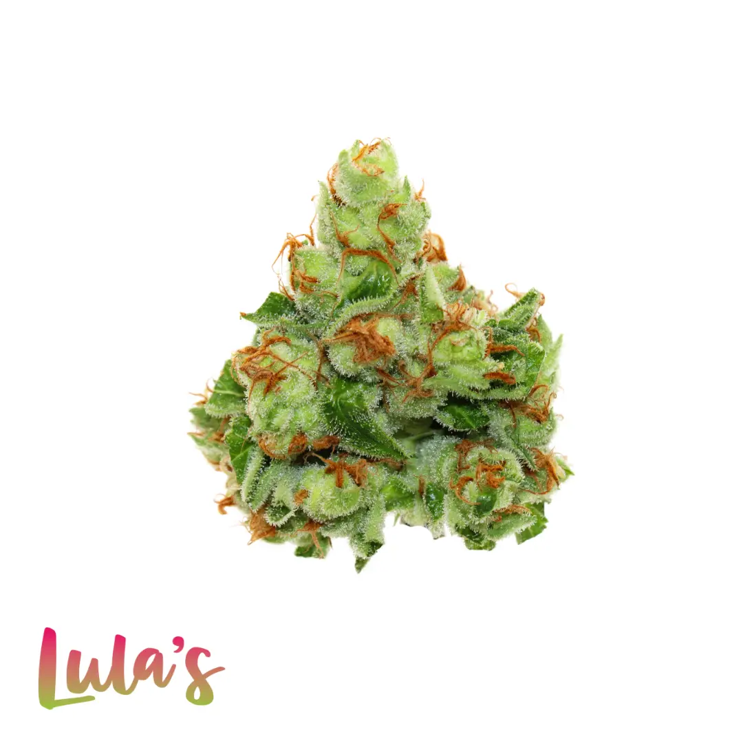 Lula's – Chicago Dawg