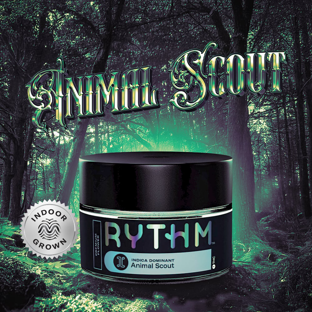 RYTHM – Animal Scout