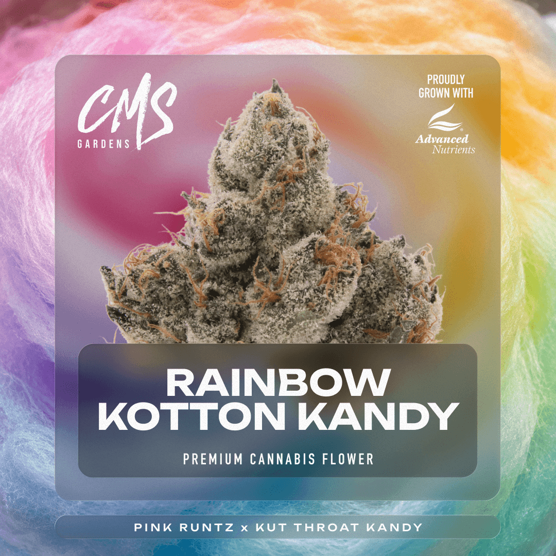 CMS Gardens – Rainbow Kotton Kandy