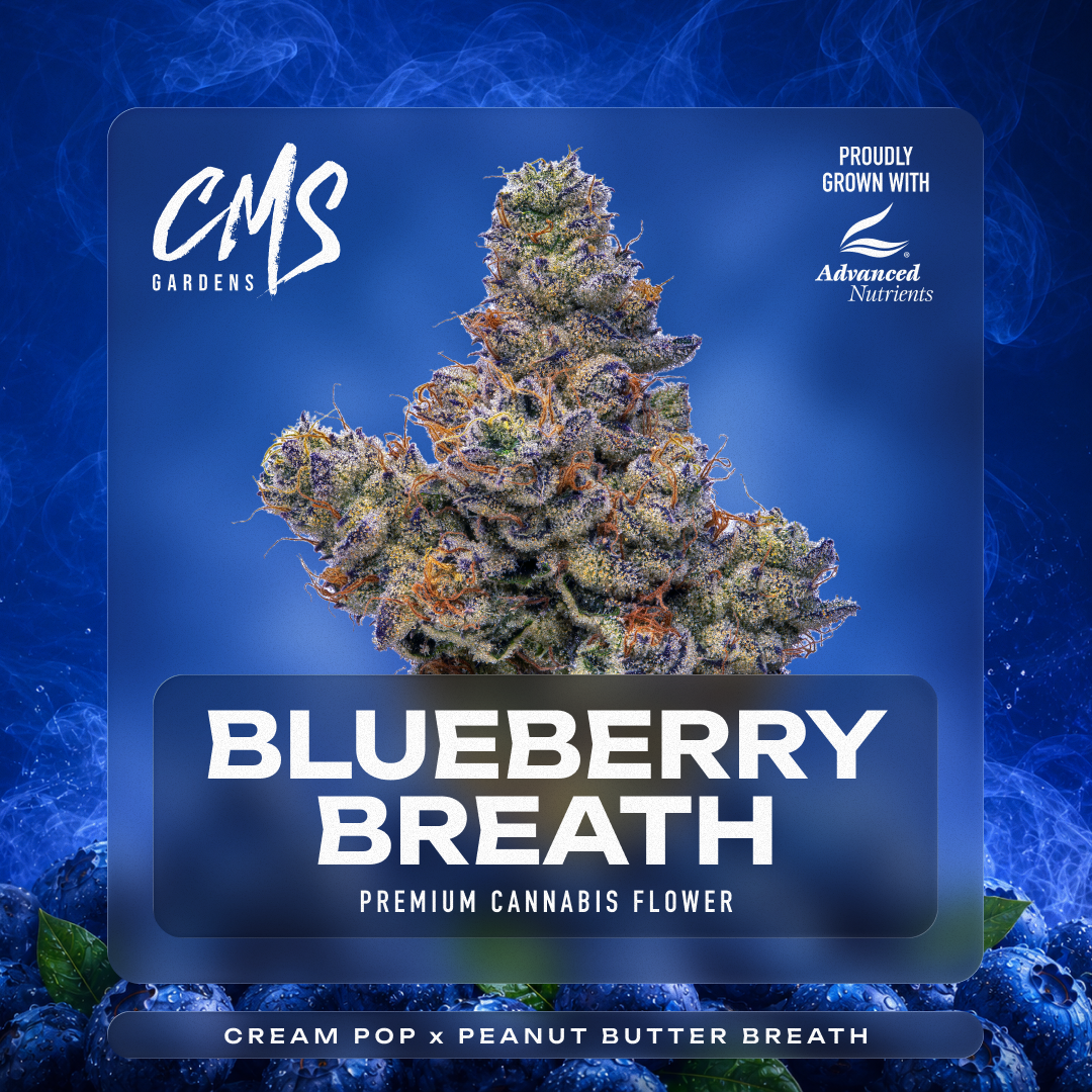 CMS Gardens – Blueberry Breath