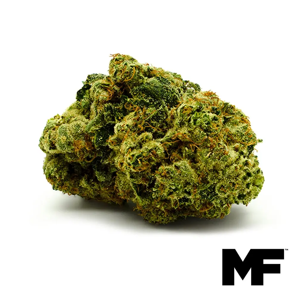 Modern Flower – Lemon G Sherb