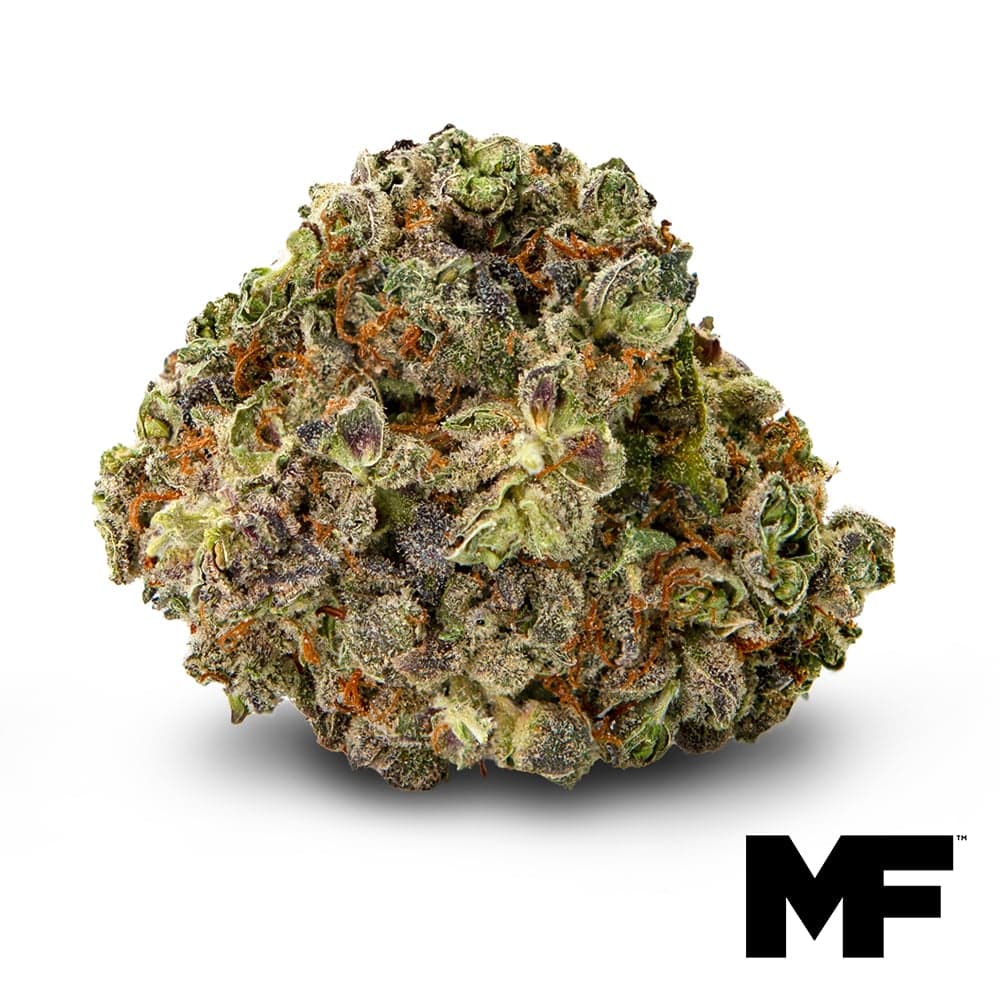 Modern Flower – Suit N Tie