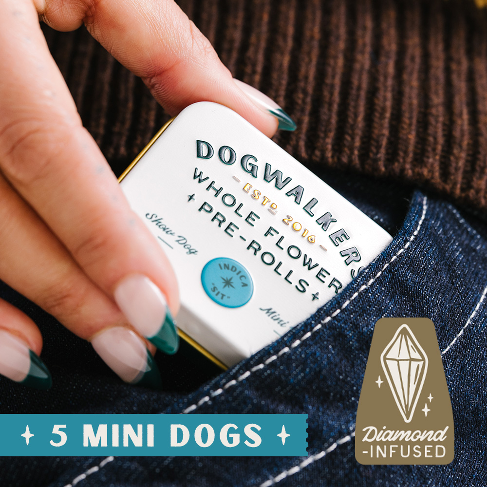 Dogwalkers – Brownie Scout [.45g]