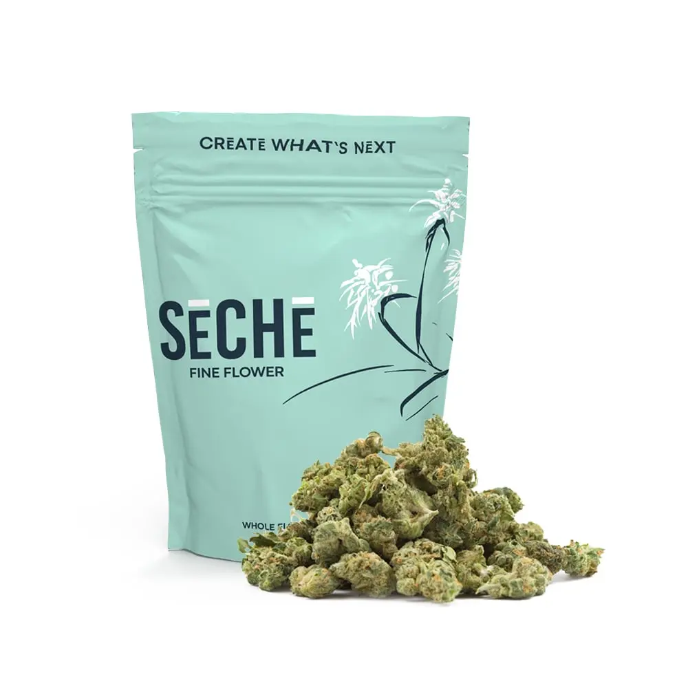SeCHe – ZZ Bop