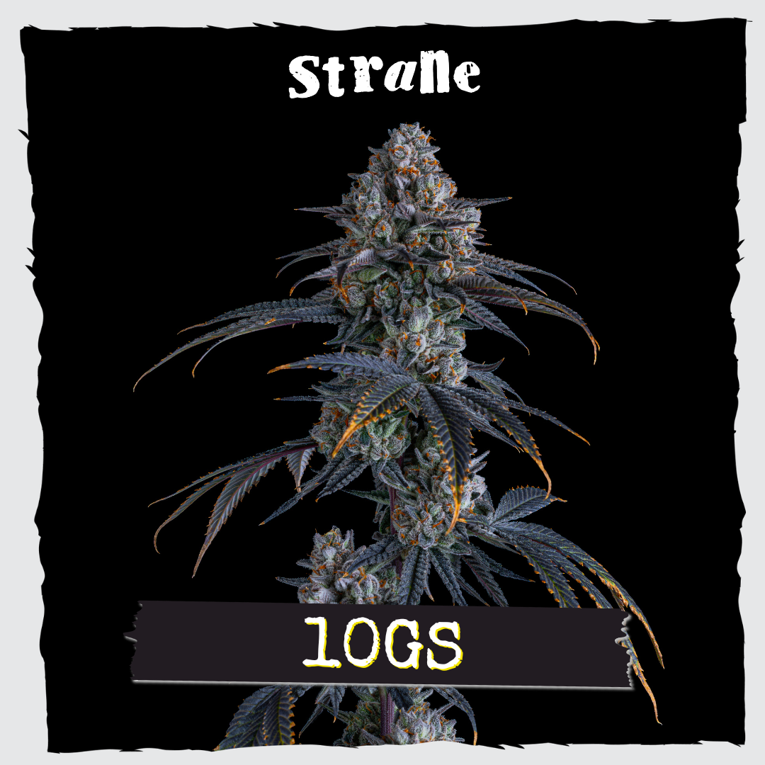 Strane – 10Gs