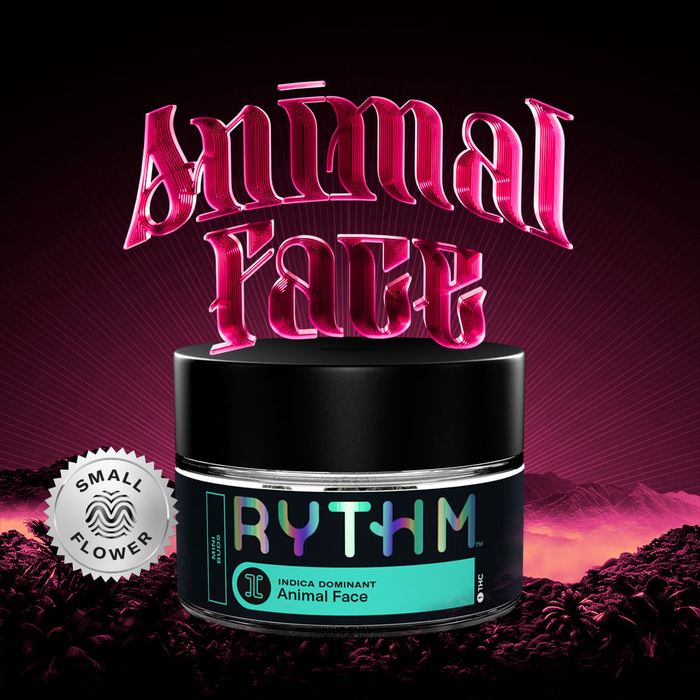 RYTHM – Animal Face
