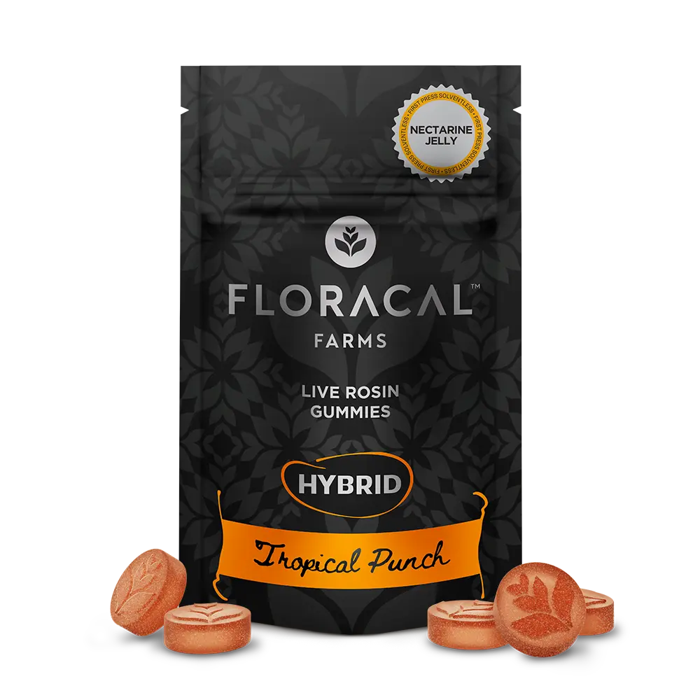 FloraCal™ – Live Rosin Gummies - Tropical Punch [10pk] (100mg)