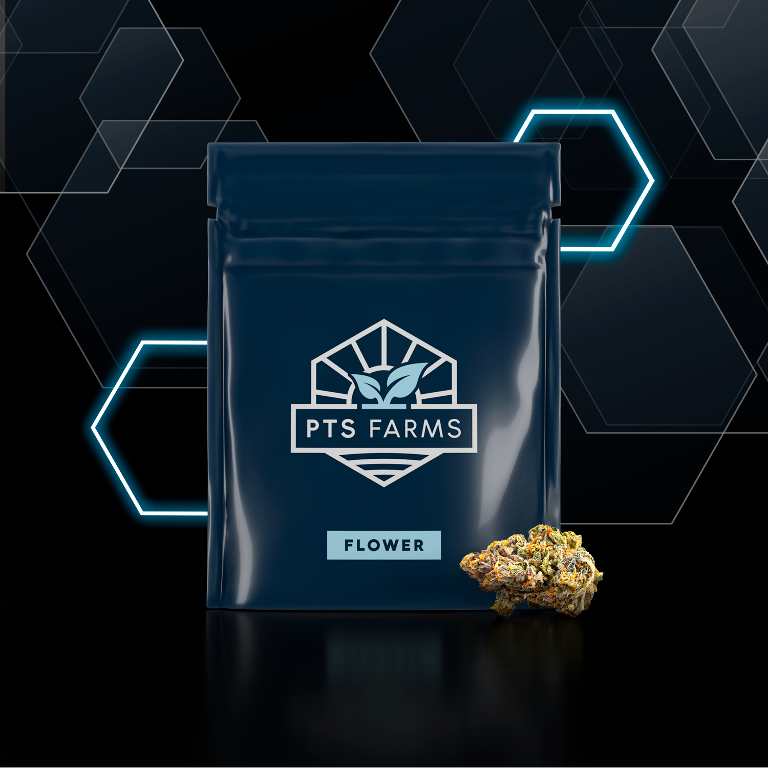 PTS Farms – Cocomamba