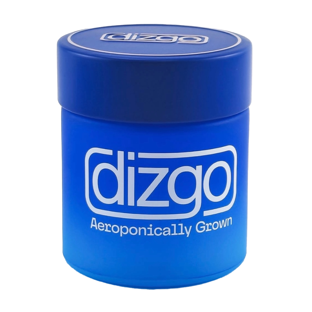Dizgo – Orion