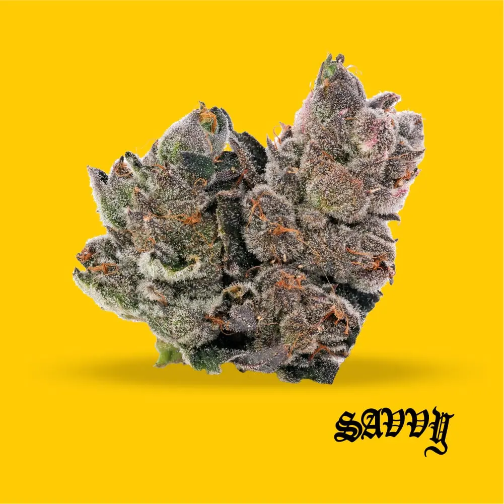 Savvy – Dosilato