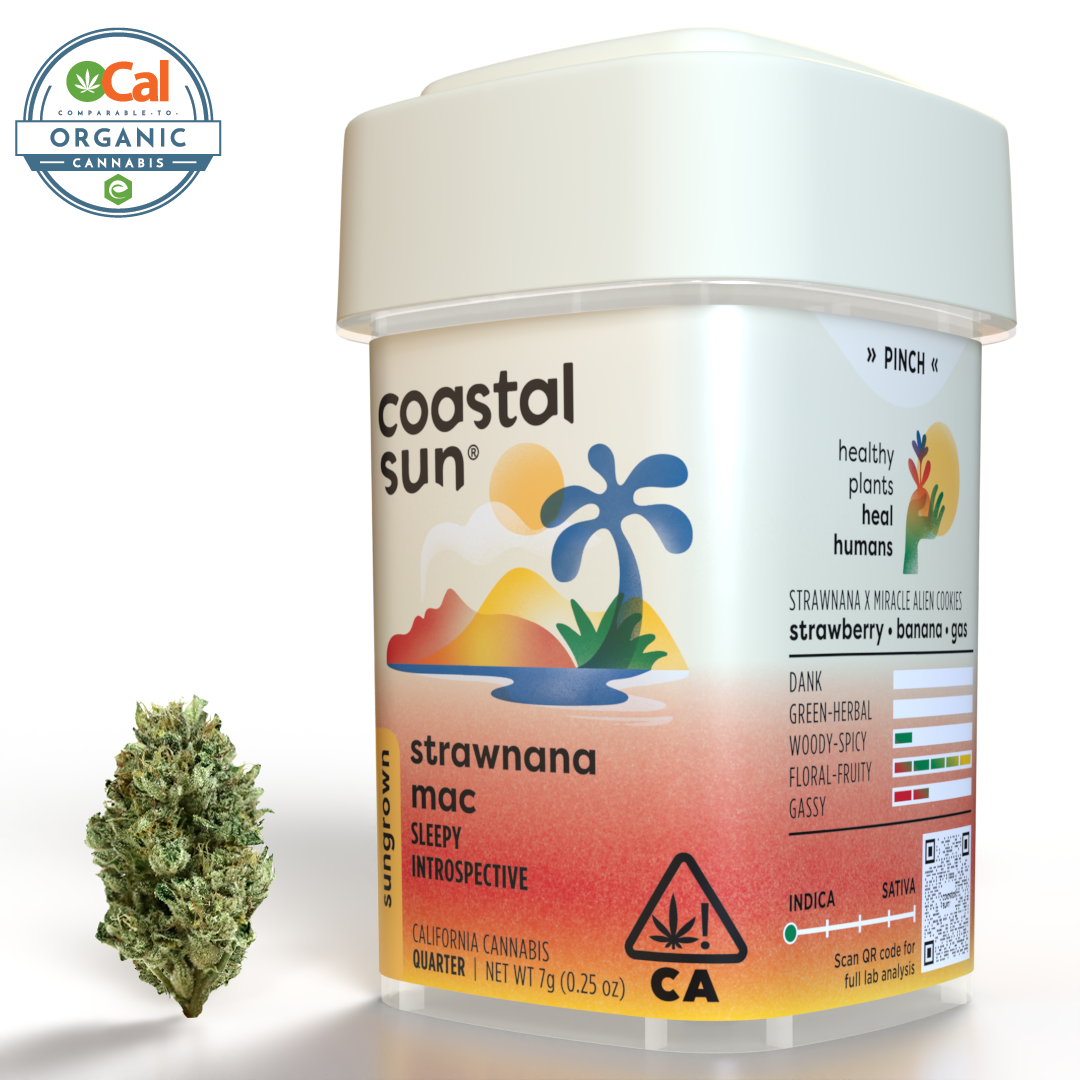 Coastal Sun – Strawnana Mac