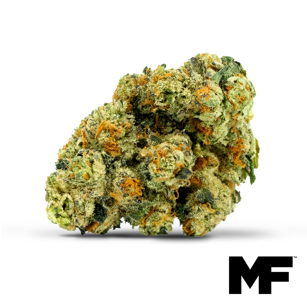 Modern Flower – Stink Bomb