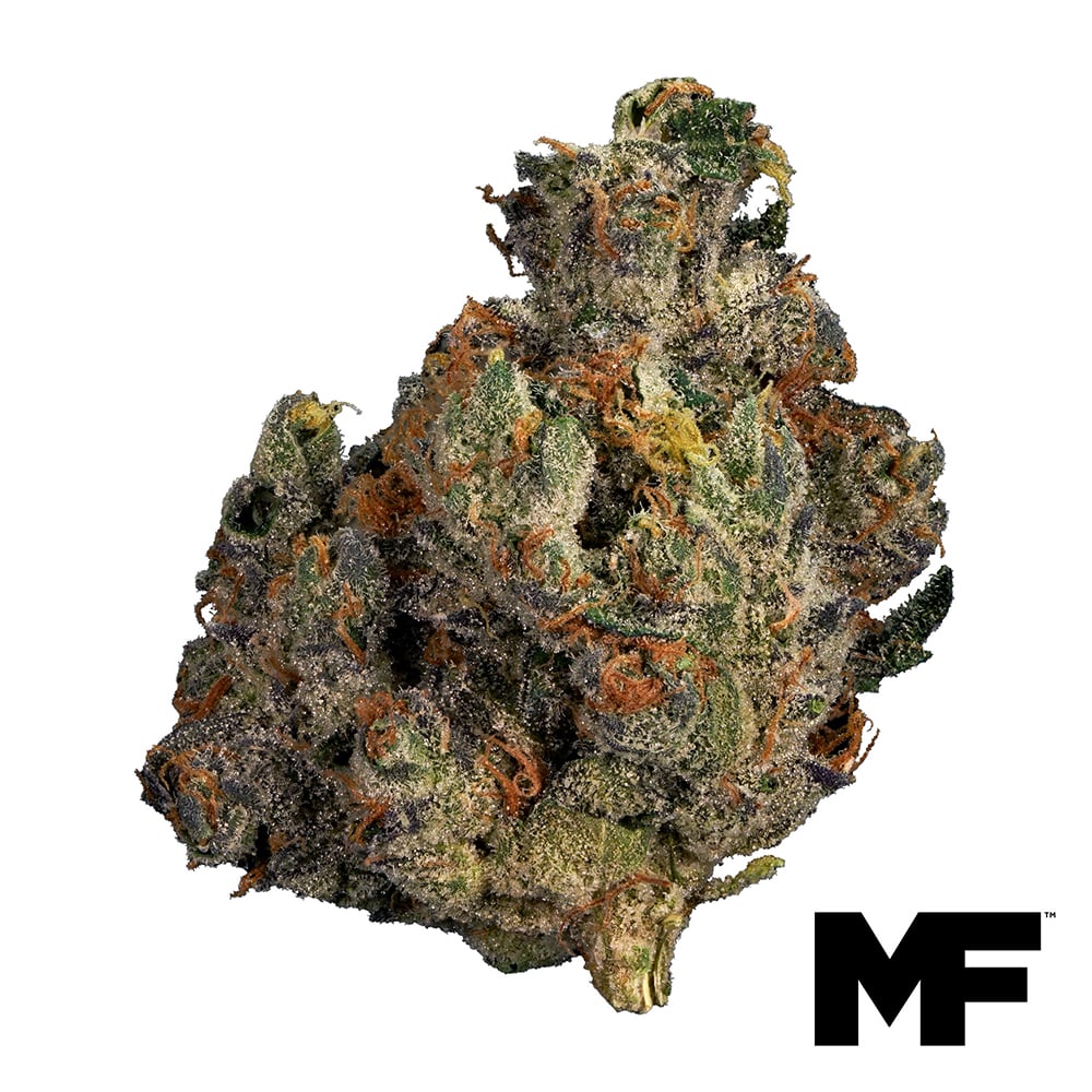 Modern Flower – Sergeant Strawberry