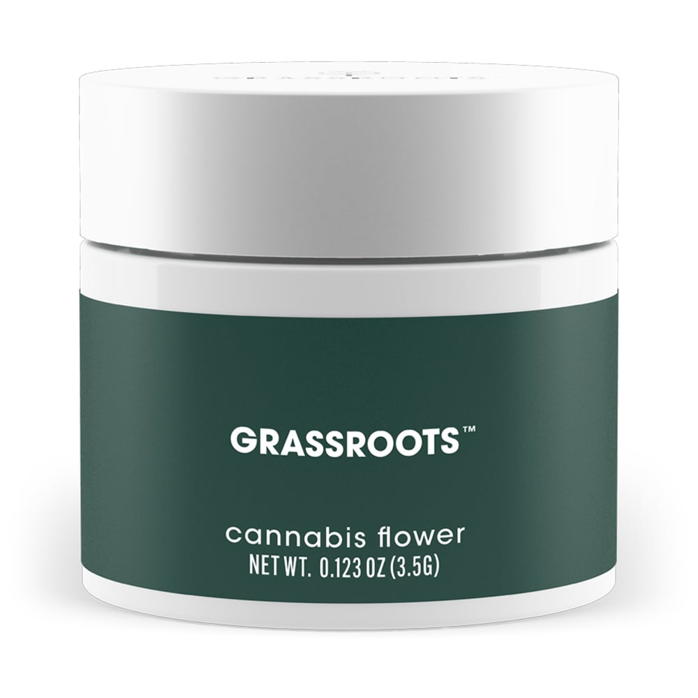 Grassroots – Blue Lobster