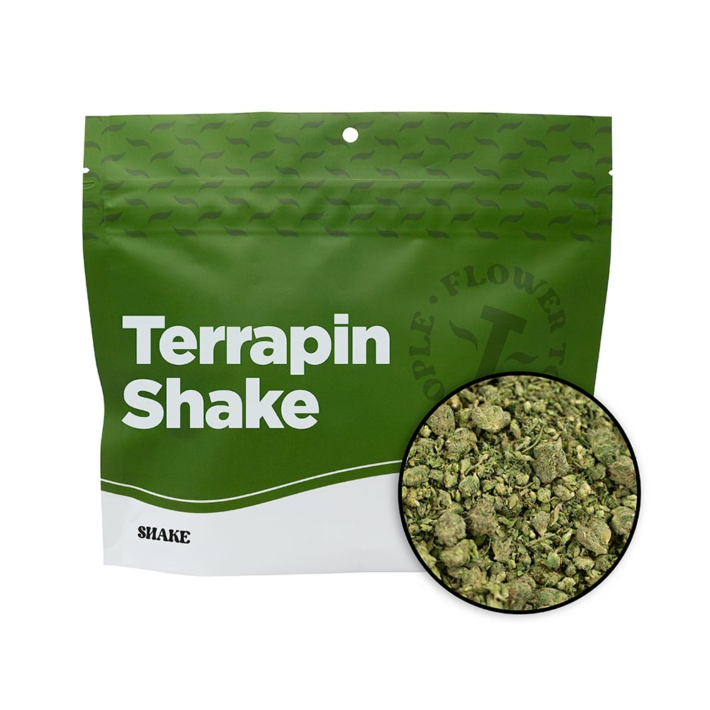 Terrapin – Larry's Helmet #3