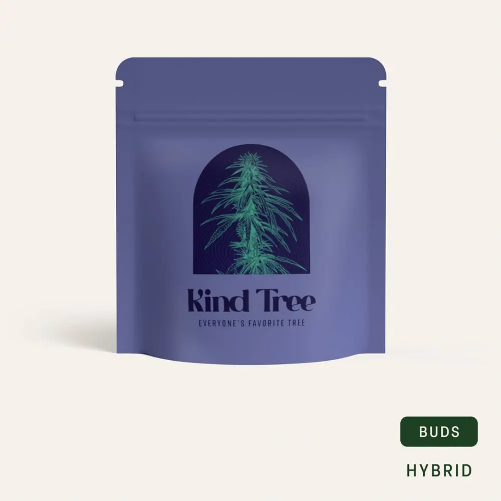 Kind Tree – IC Banger