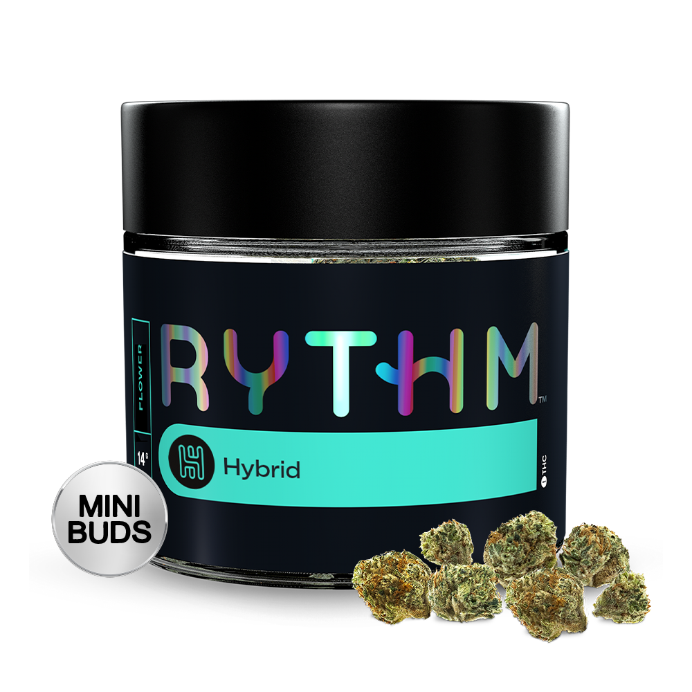 RYTHM – G Gurtz