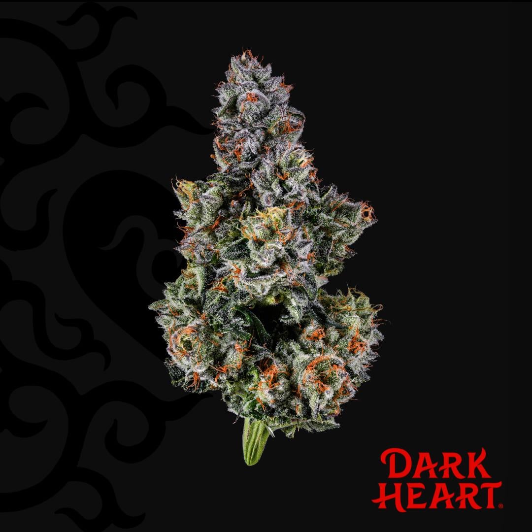 Dark Heart – Triple Stack
