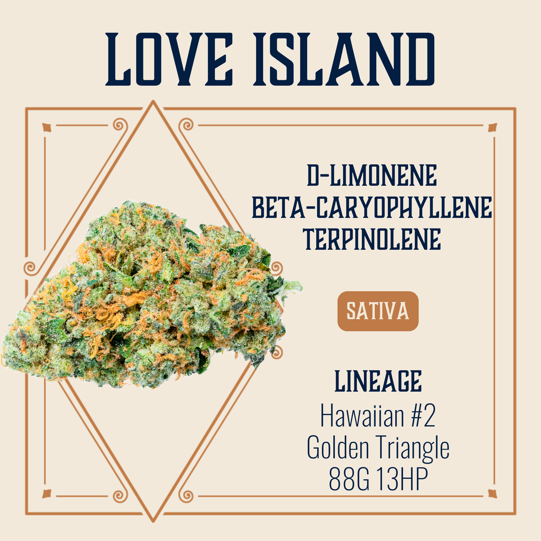 Elevate – Love Island