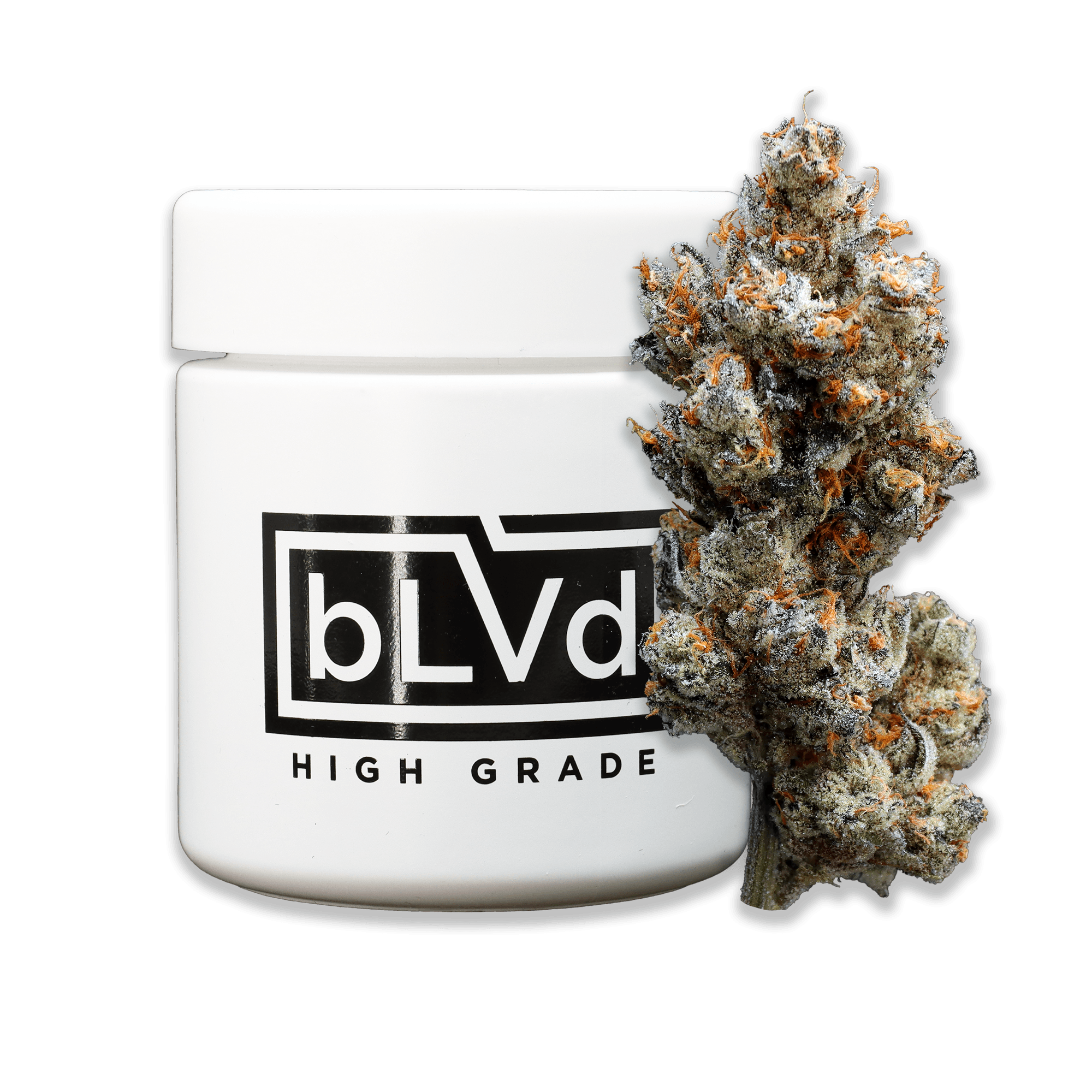 bLVd – Funkfetti