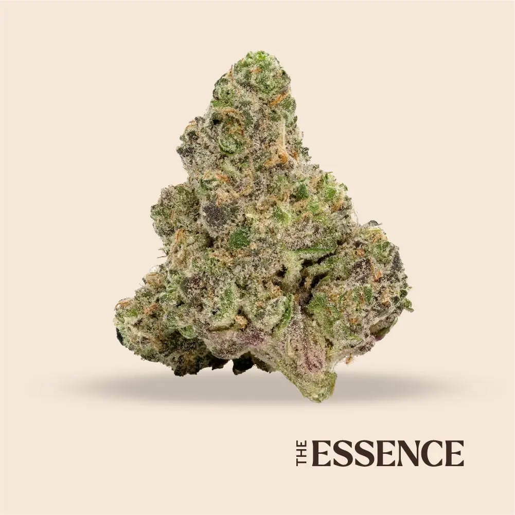 (the) Essence – Gush Mints