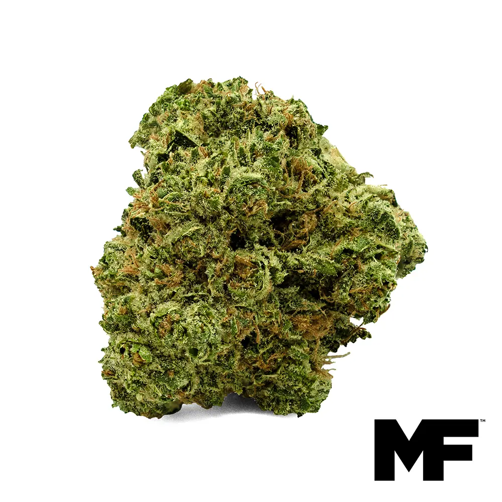 Modern Flower – White 99