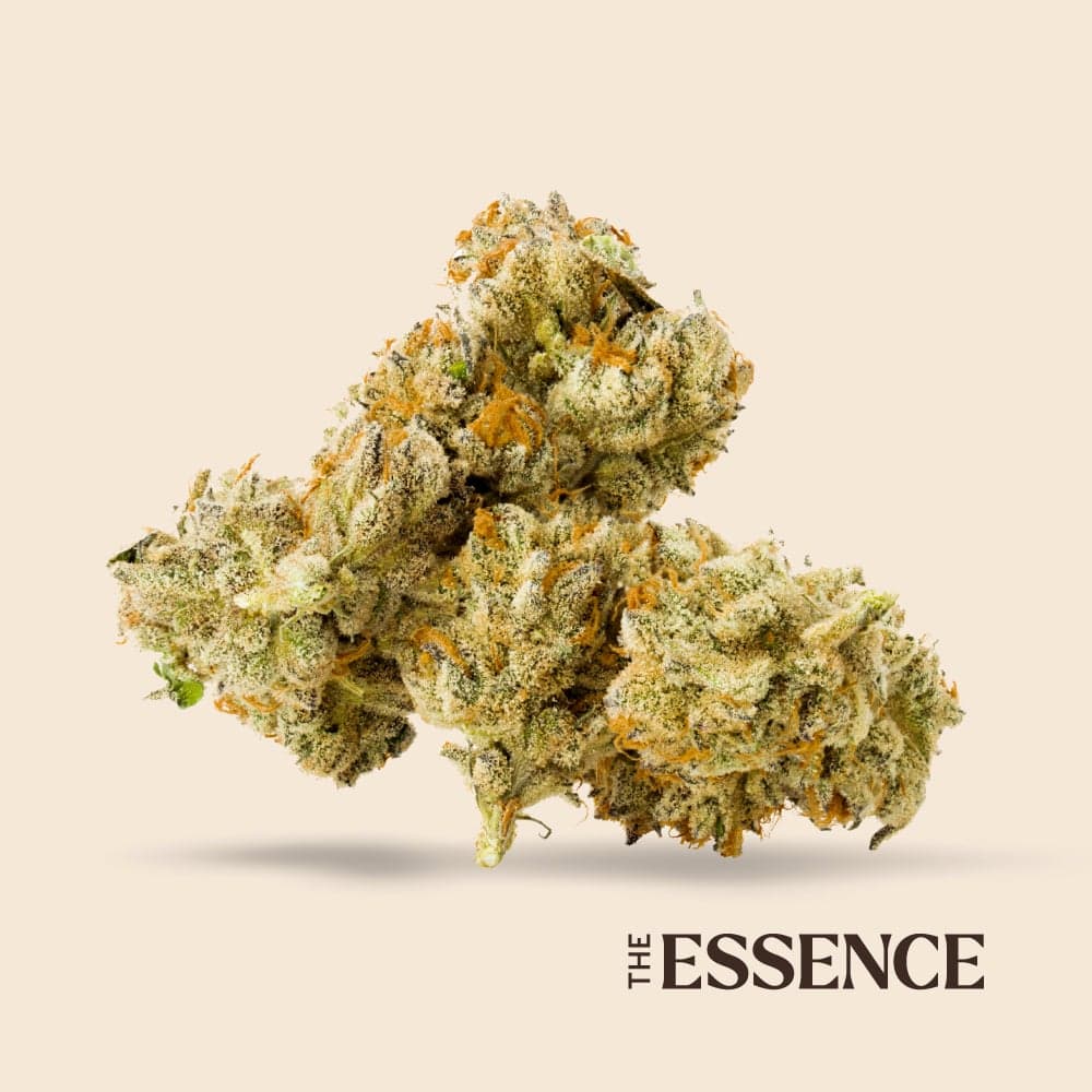 (the) Essence – Georgia Pie x Gastro Pop