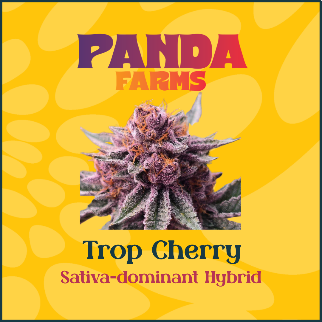 Panda Farms – Trop Cherry