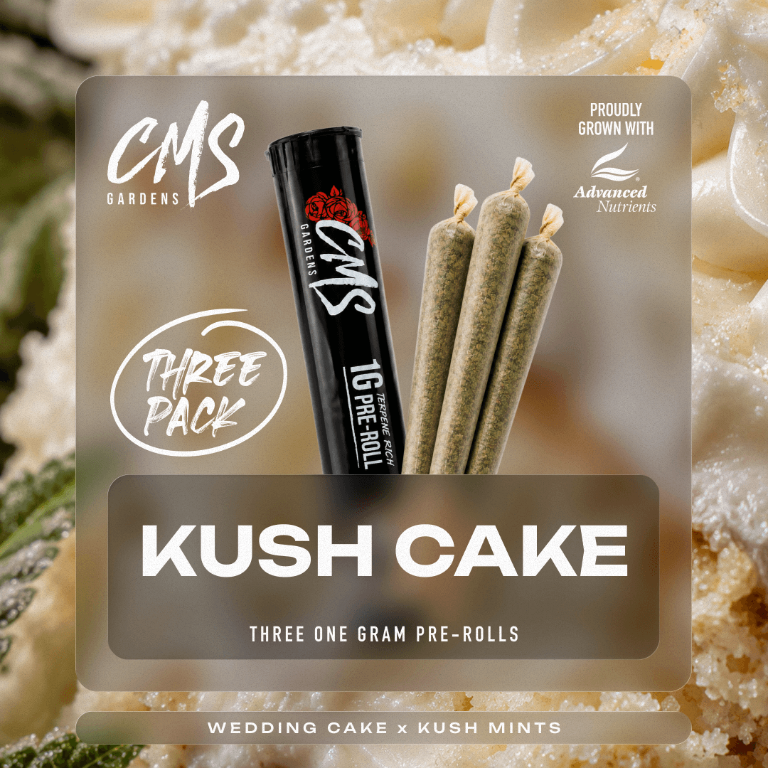 CMS Gardens – Kush Cake [1g]