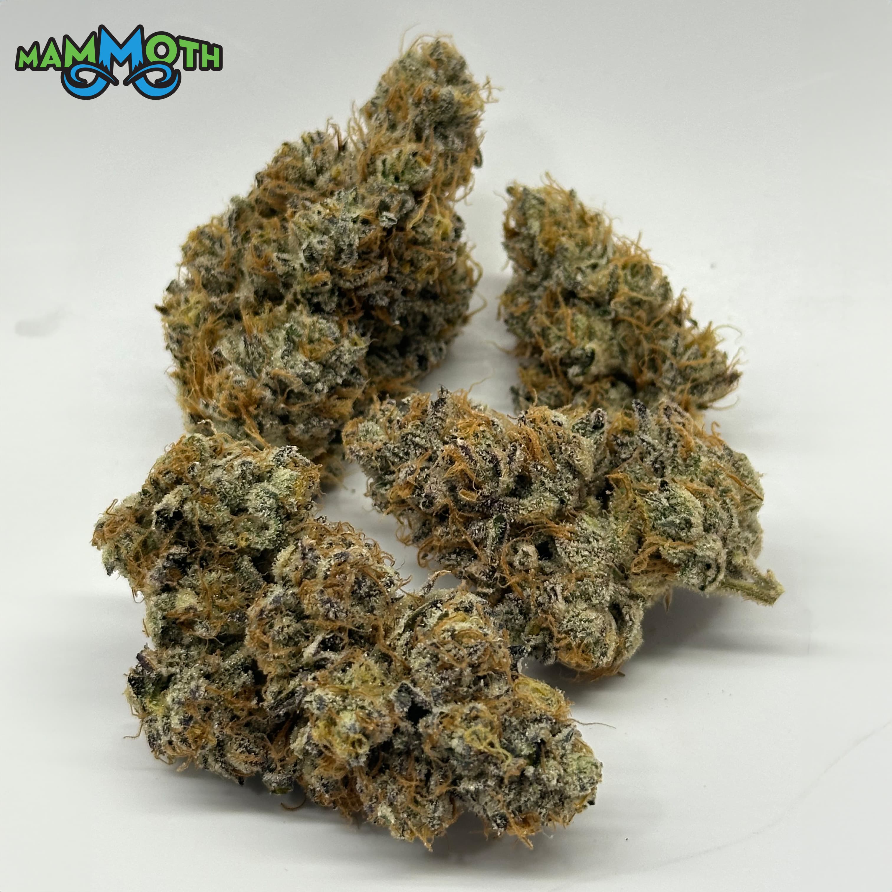 Mammoth – Jungle Juice