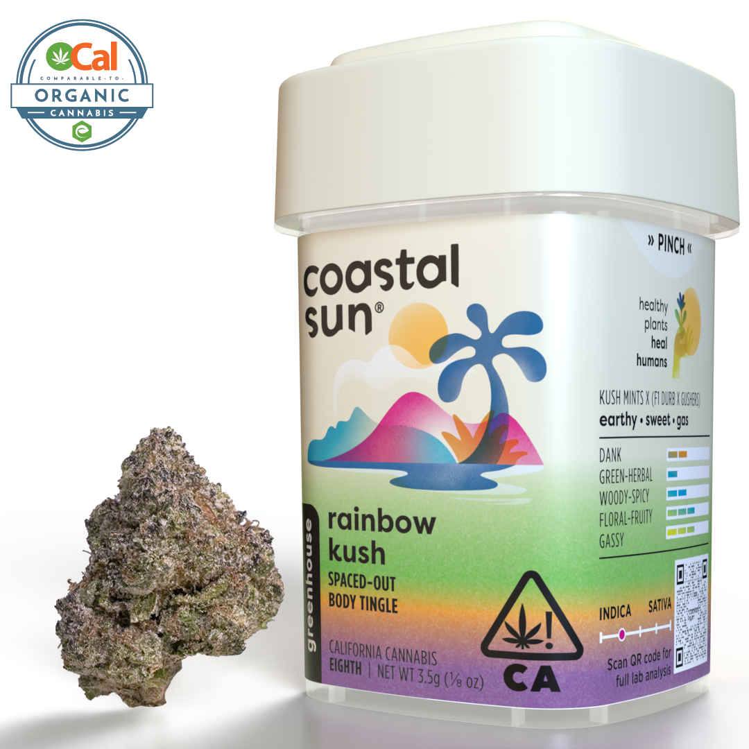 Coastal Sun – Rainbow Kush