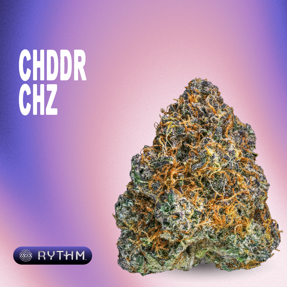 RYTHM – Cheddar Cheeze