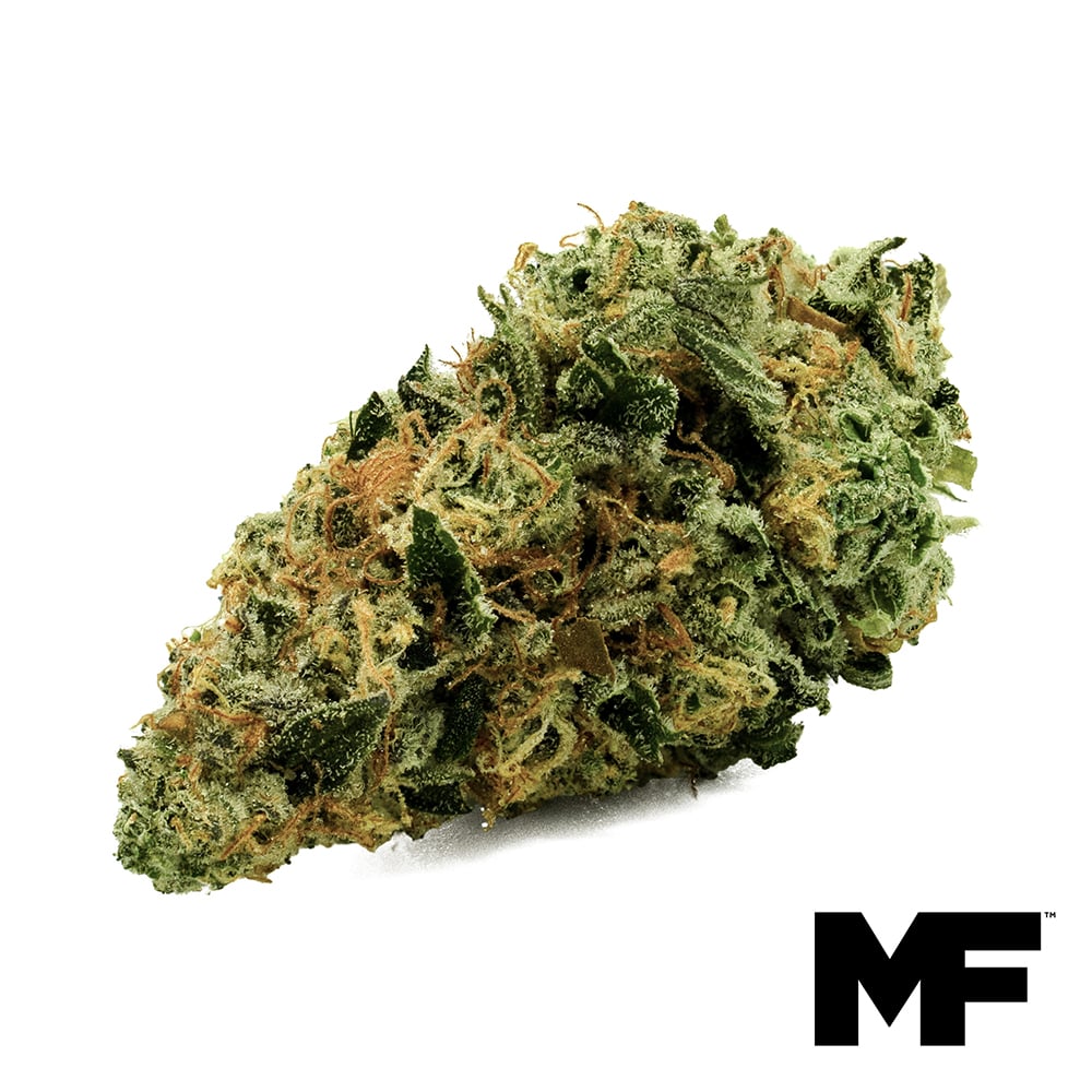 Modern Flower – Shadowberry