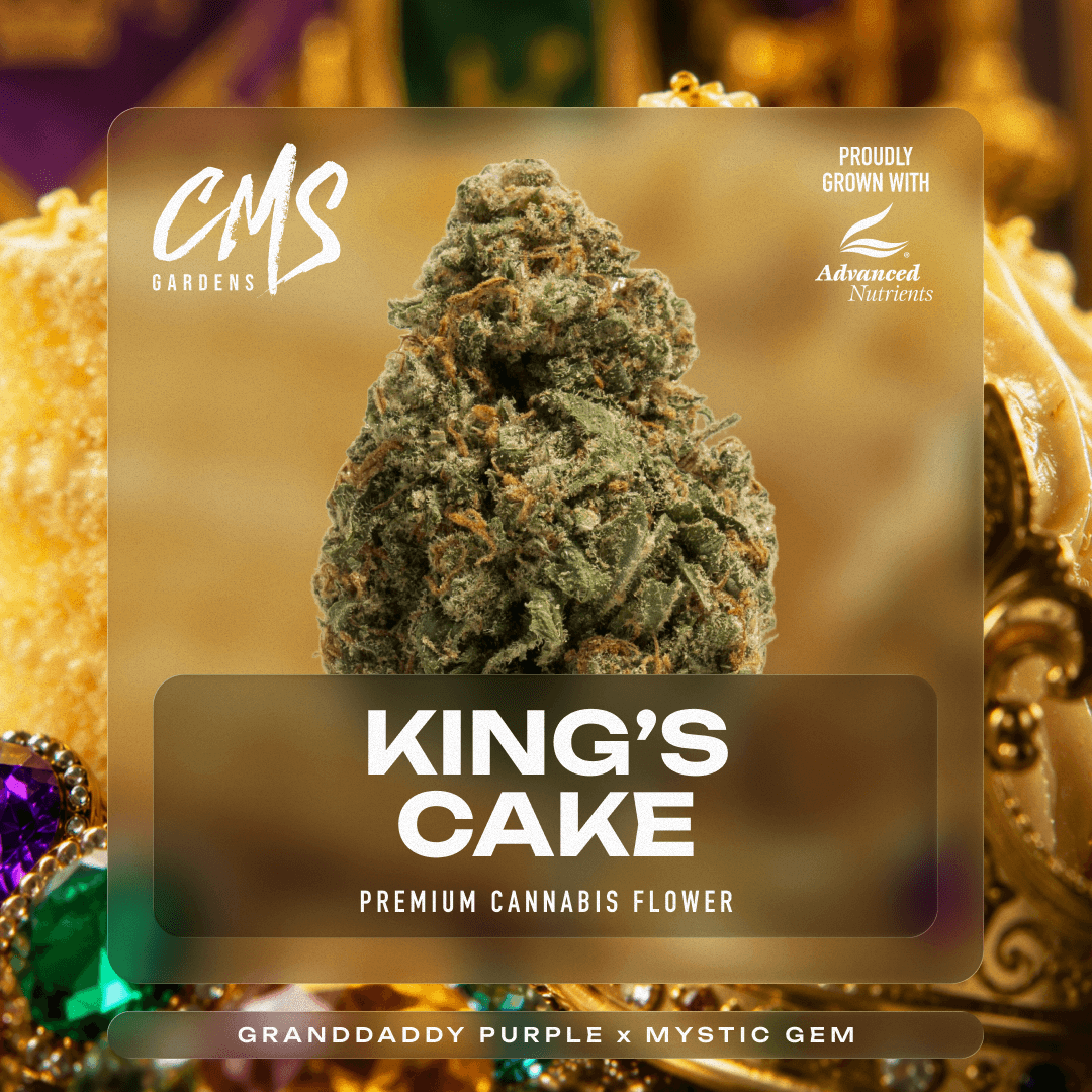 CMS Gardens – King's Cake
