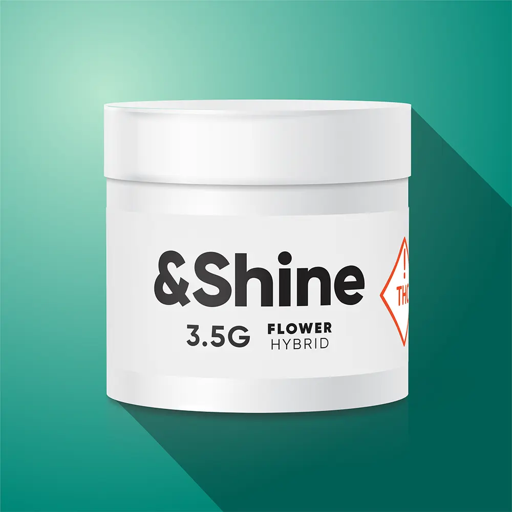 &Shine – Honey Zanana