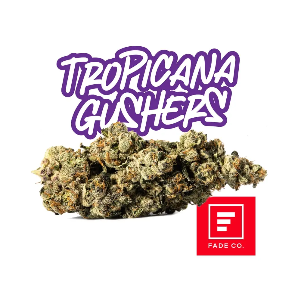 Fade Co. – Tropicana Gushers