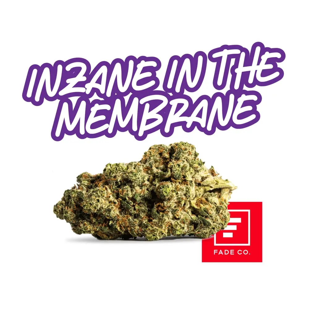 Fade Co. – Inzane n' the Membrane