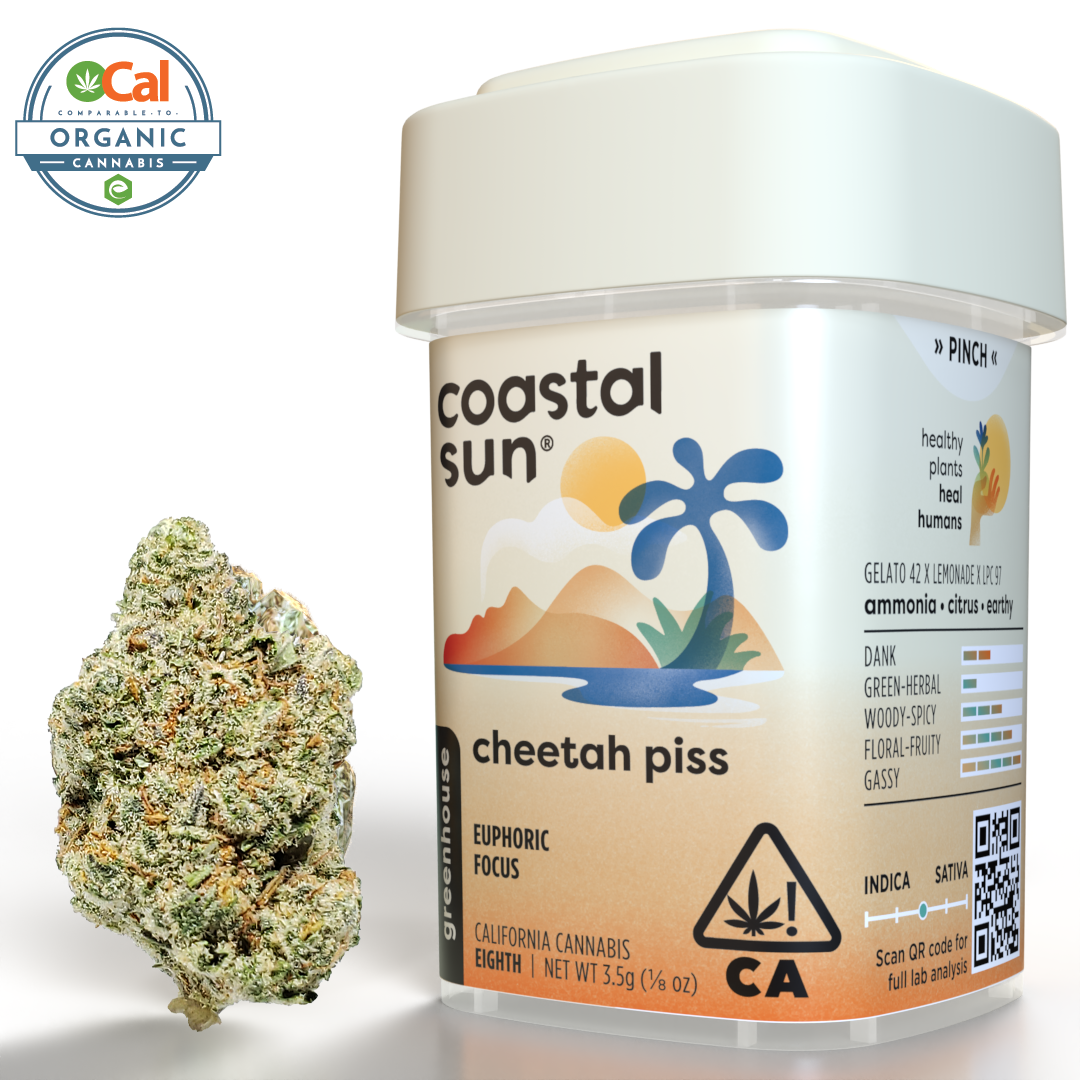 Coastal Sun – Cheetah Piss
