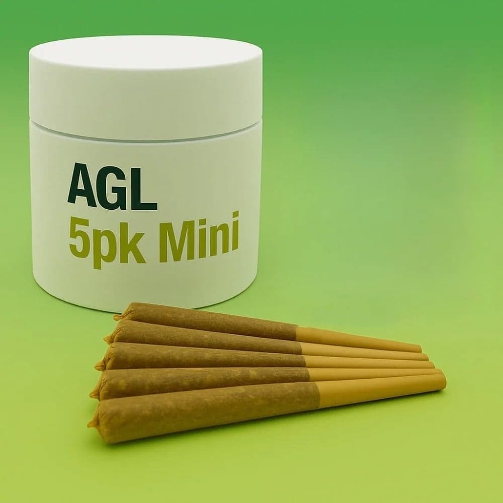 Advanced Grow Labs (AGL) – AGL 5 Pack Minis Jack Herer (S) 01834