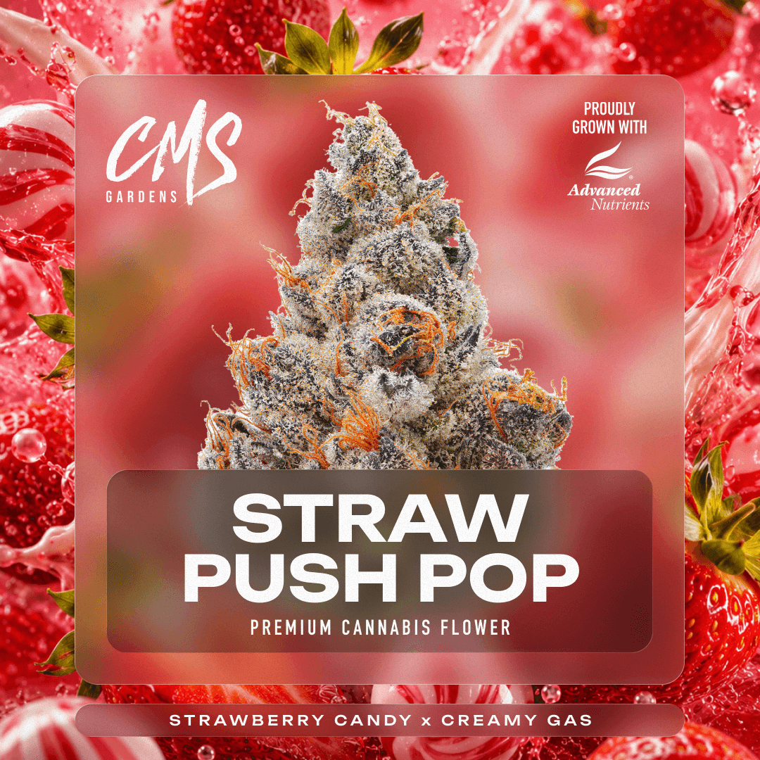 CMS Gardens – Straw Push Pop