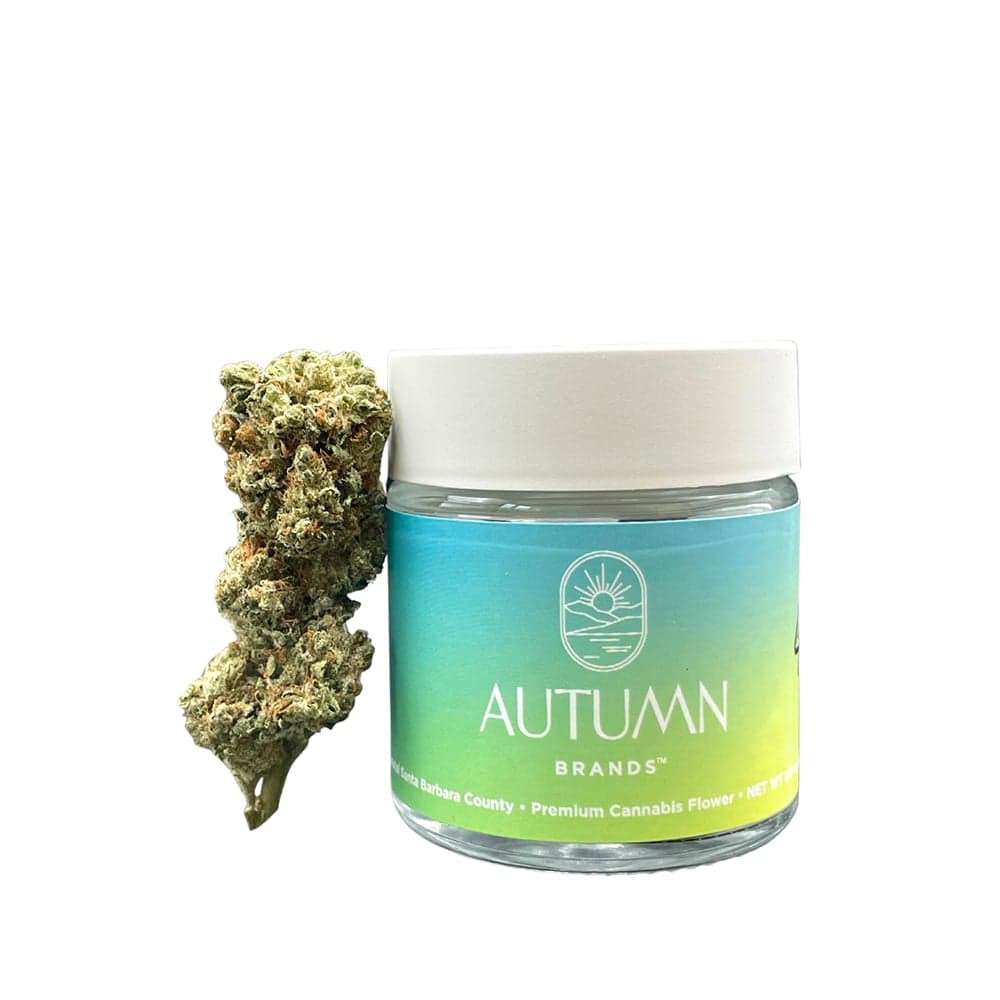 Autumn Brands – Mango Haze
