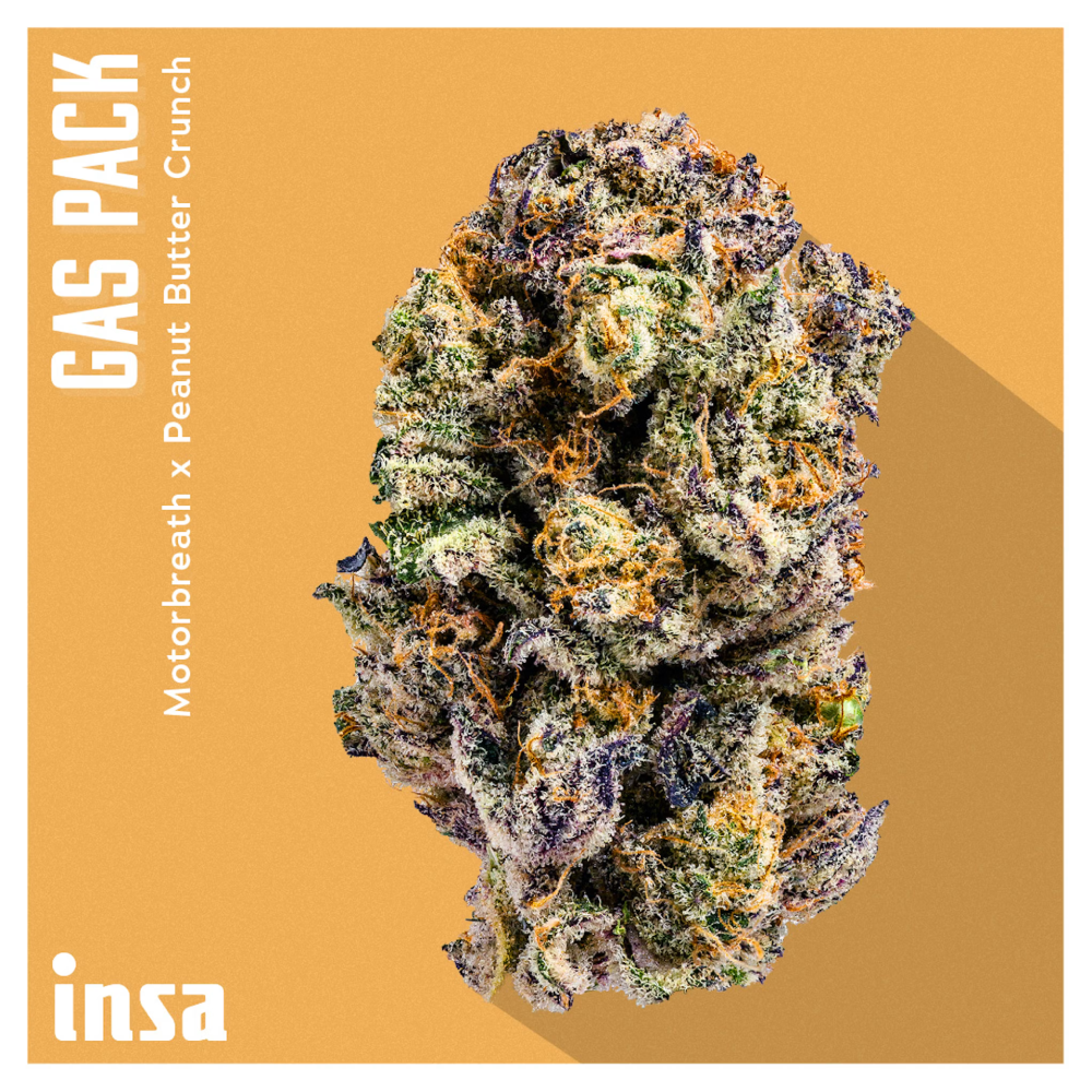 Insa – Gas Pack