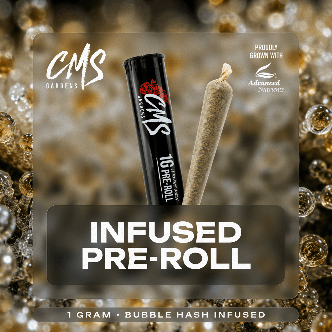 CMS Gardens – Baby Yoda [1g]