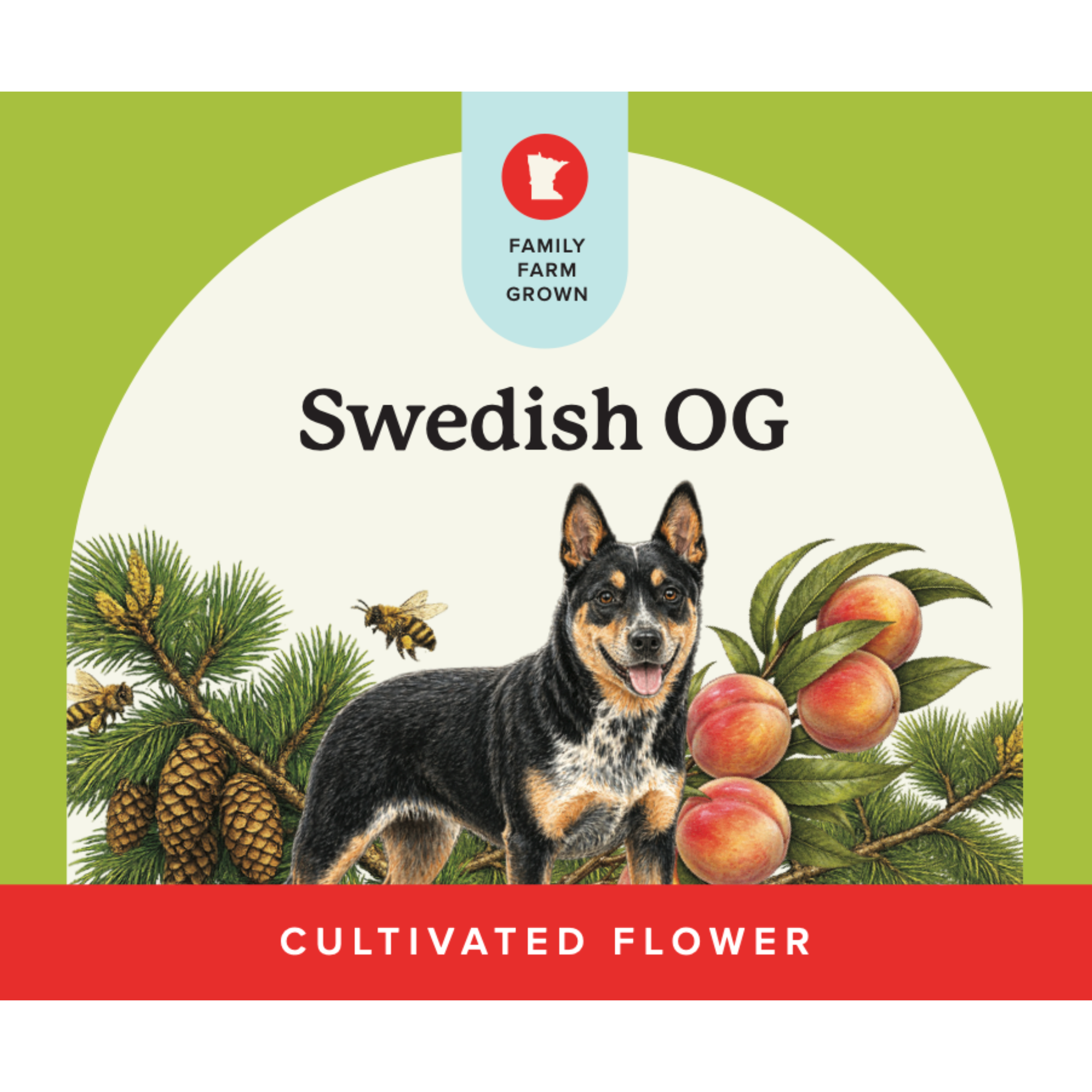 Verist Fields – Signature Cultivar-IX | Verist Fields | Swedish OG | 3.5g