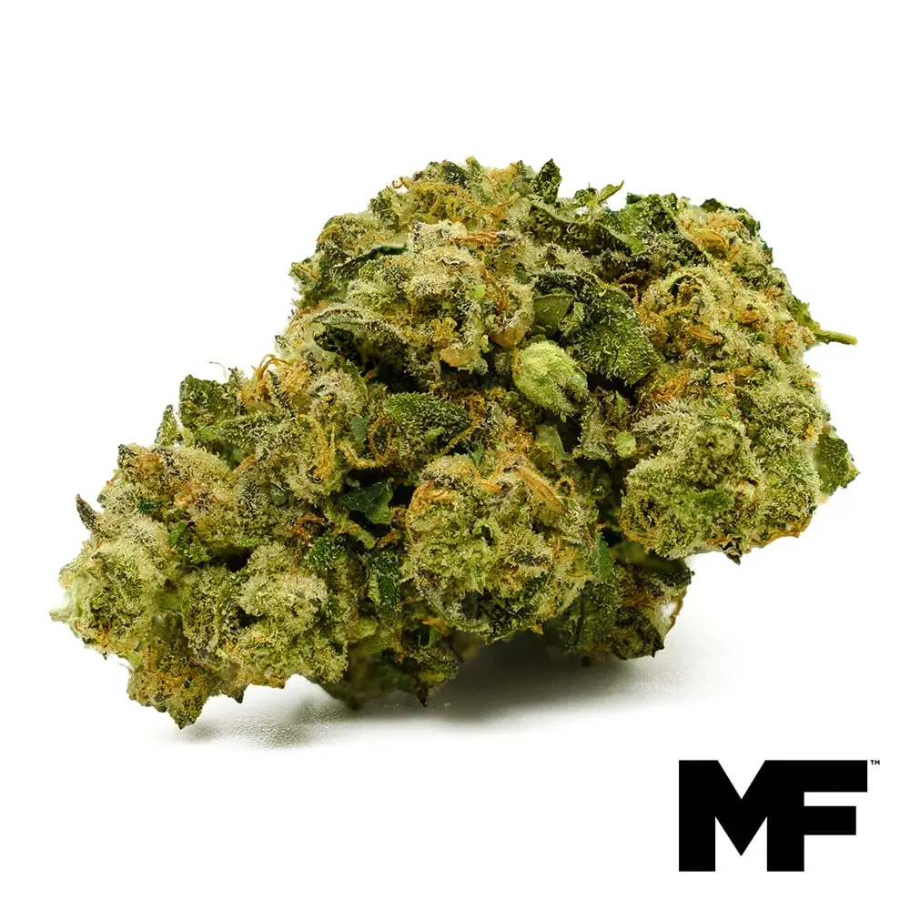Modern Flower – Wedding Crasher