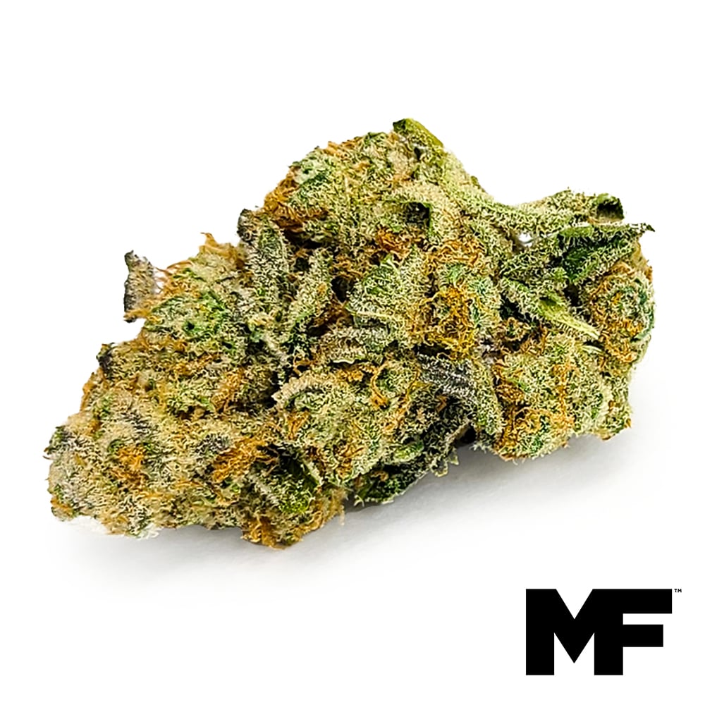 Modern Flower – Garlic Grove